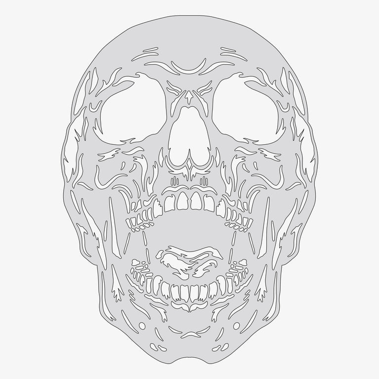 Human Skull #1