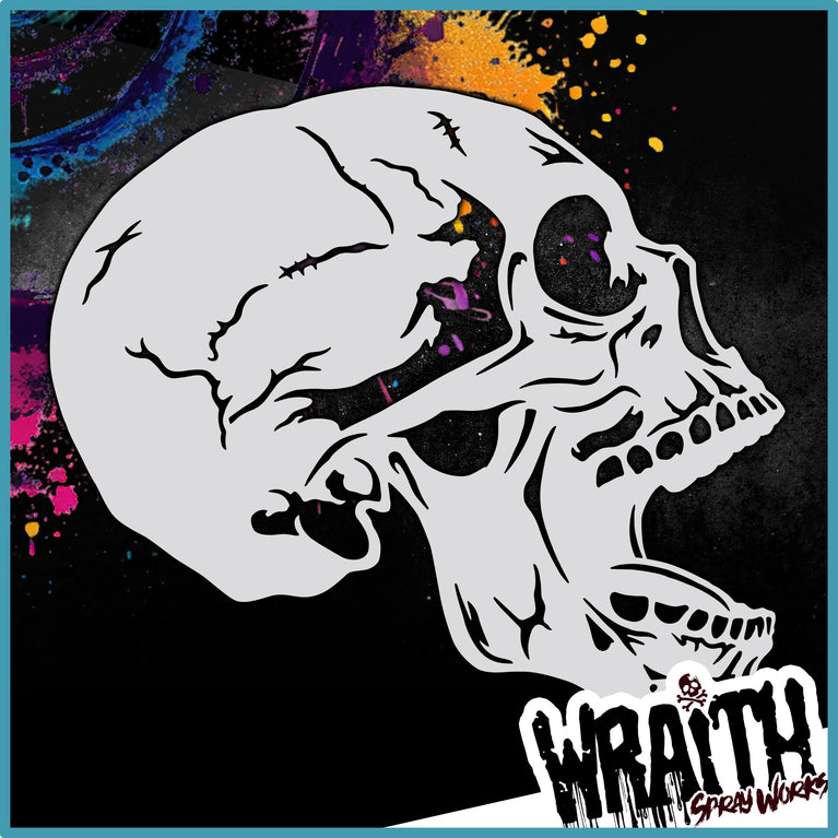 Human Skull #3