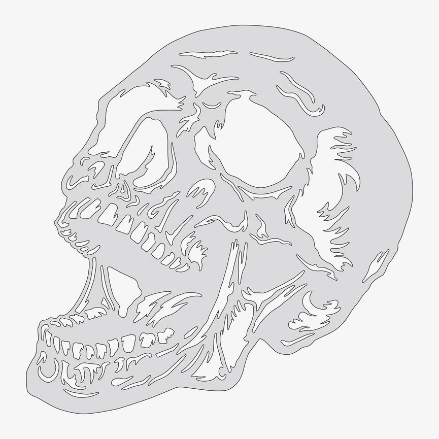 Human Skull #2