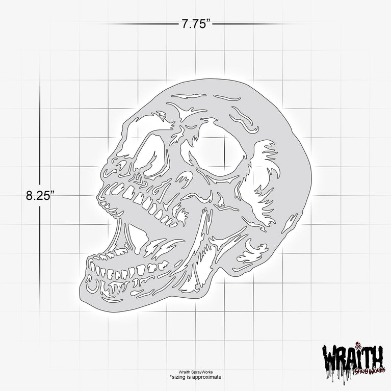 Human Skull #2