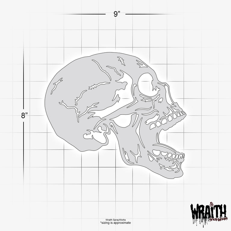 Human Skull #3