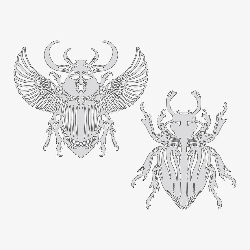 Scarab Beetles