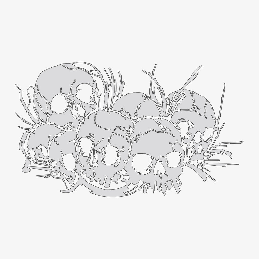 Skull Pile #1